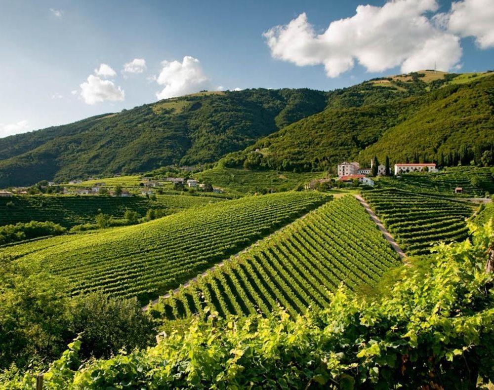 Follinetta10 - Enjoy Holiday Home In The Prosecco Hills Follina Kültér fotó